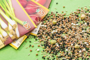 Seeds really are amazing things
